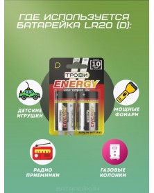 Батарейка ТРОФИ           LR-20  (2BL)(12)(96) ENERGY POWER Alkaline..