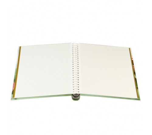 Ф/Альбом  Pioneer  (122551)  SA-10 Магн.листов (23*28)  Цветы              (12)