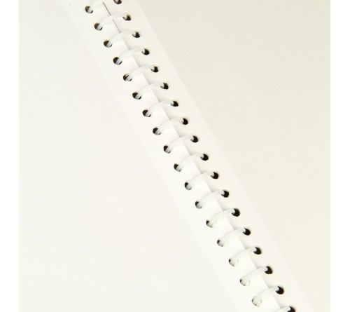 Ф/Альбом  Pioneer  (122551)  SA-10 Магн.листов (23*28)  Цветы              (12)