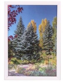 Ф/рамка   21*30 (7N92) белая                                                 ( 20)