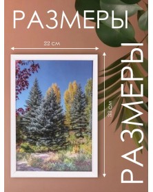 Ф/рамка   21*30 (7N92) белая                                                 ( 20)