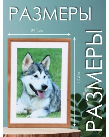 Ф/рамка   21*30 (7N92) орех                                                    ( 20)