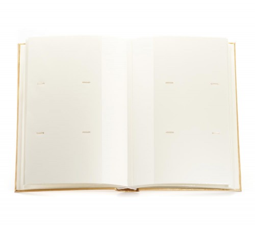 Ф/альбом ЯМ 300 ф.FA-EBBM300 - 828, кн.пер, иск.кожа, золото, классика              (12)