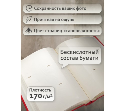 Ф/альбом ЯМ 300 ф.FA-EBBM300 - 814, кн.пер, иск.кожа, отдых              (12)