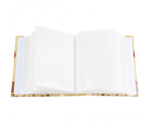 Ф/Альбом  EA  (91462)  100 ф  Canvases                             (24)