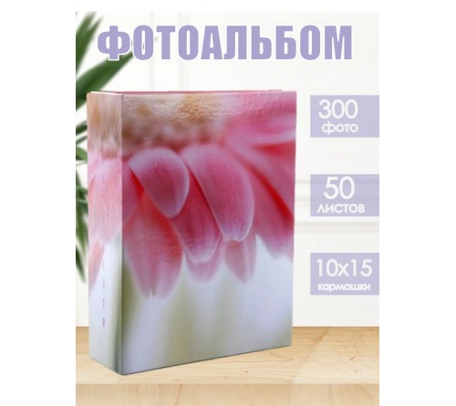 Ф/Альбом  Pioneer  (91482) 304 фото, 2 ф.на стр.  Golden Bug 2                     (12)