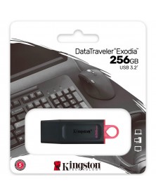 USB Флеш-Драйв256Gb  Kingston  DT Exodia USB 3.2..