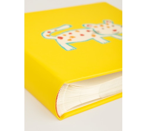 Ф/Альбом IA-200  фото 10*15 (BBM46200/2) серия 142 с кармашками книжный переплёт  (12)  Детский