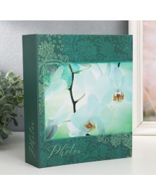 Ф/Альбом  PL-022-2   100 фото  10*15  с кармашками, Bloom, Орхидея    (24) ..