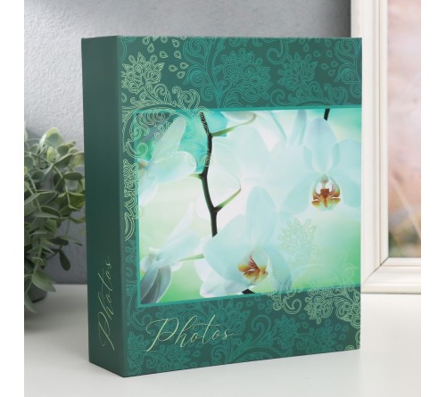 Ф/Альбом  PL-005-2   200 фото  10*15  с кармашками, Bloom, Орхидеи    (24) 