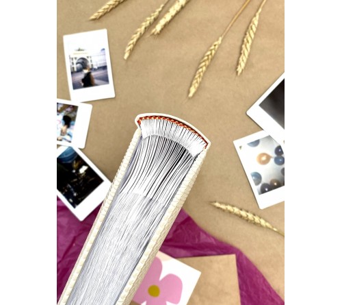 Ф/Альбом  DL-006Y   200 фото  10*15 Делюкс, бум. листы , книж. переплет Ethno west    (12) 