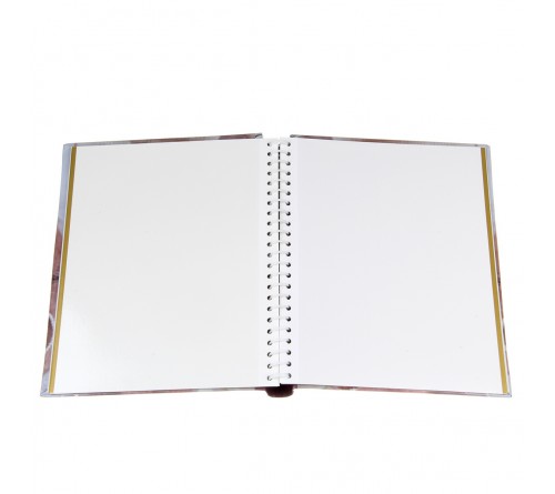 Ф/Альбом  Pioneer  (134320)  SA-10 Магн.листов (23*28)  Цветы              (12)