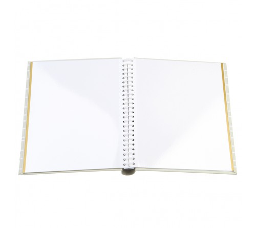 Ф/Альбом  Pioneer  (134603)  SA-10 Магн.листов (23*28)  Детский              (12)