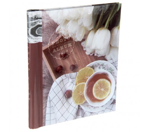 Ф/Альбом  Pioneer  (134318)  SA-10 Магн.листов (23*28)  Цветы              (12)