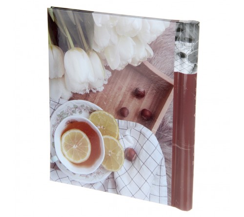 Ф/Альбом  Pioneer  (134318)  SA-10 Магн.листов (23*28)  Цветы              (12)