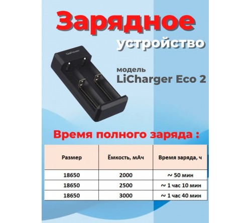 Зарядное устройство  GoPower LiCharger Eco 2 Li-ion 2 слота (1/40)